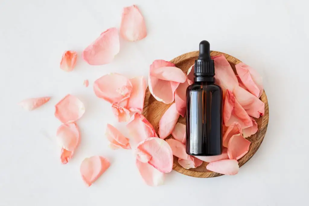 Top view of empty brown neem bottle for skin care product placed on wooden plate with fresh pink rose petals on white background isolated